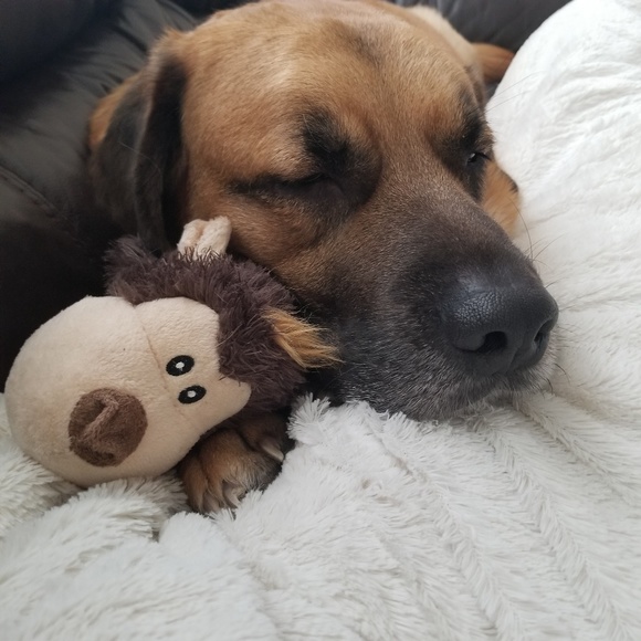 Meet your Posher, Stephanie - Picture 2 of 2